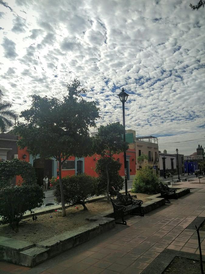 Suites Parador Santo Domingo De G. Oaxaca エクステリア 写真