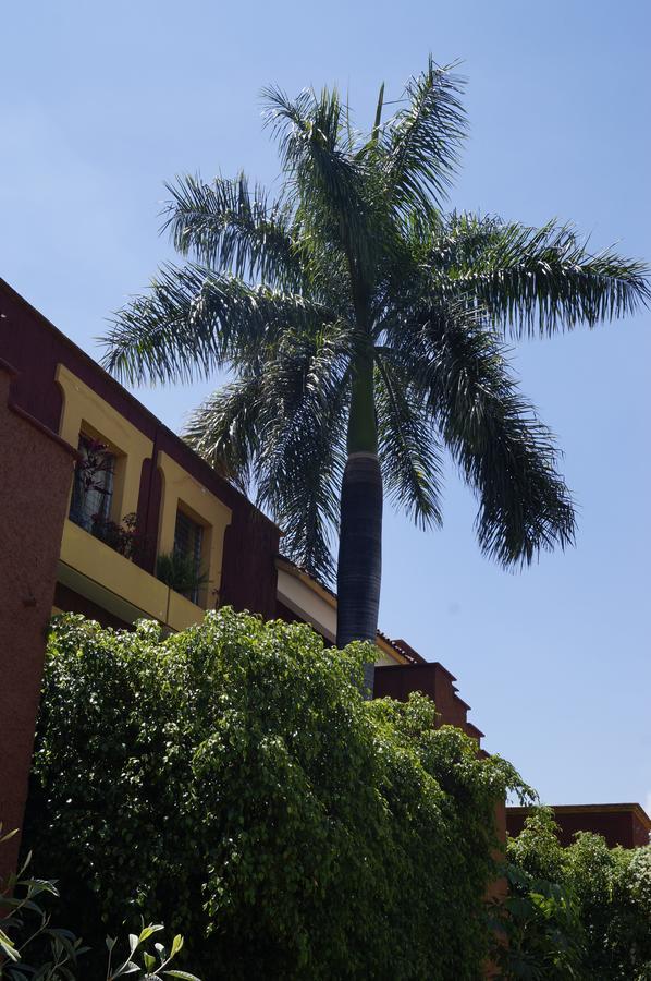 Suites Parador Santo Domingo De G. Oaxaca エクステリア 写真