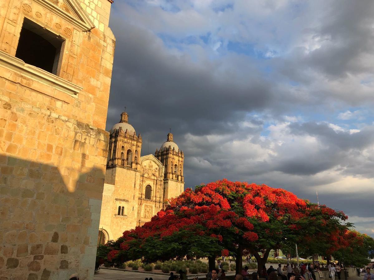 Suites Parador Santo Domingo De G. Oaxaca エクステリア 写真